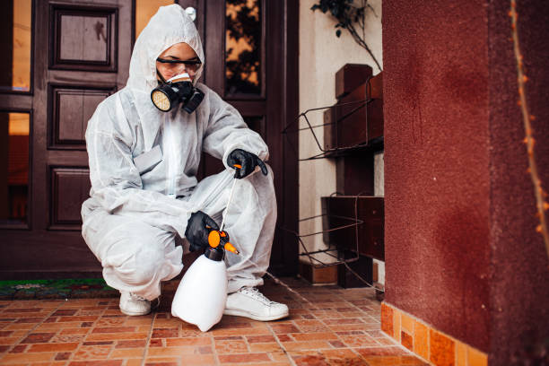 Attic and Crawl Space Rodent Treatment in Maggie Valley